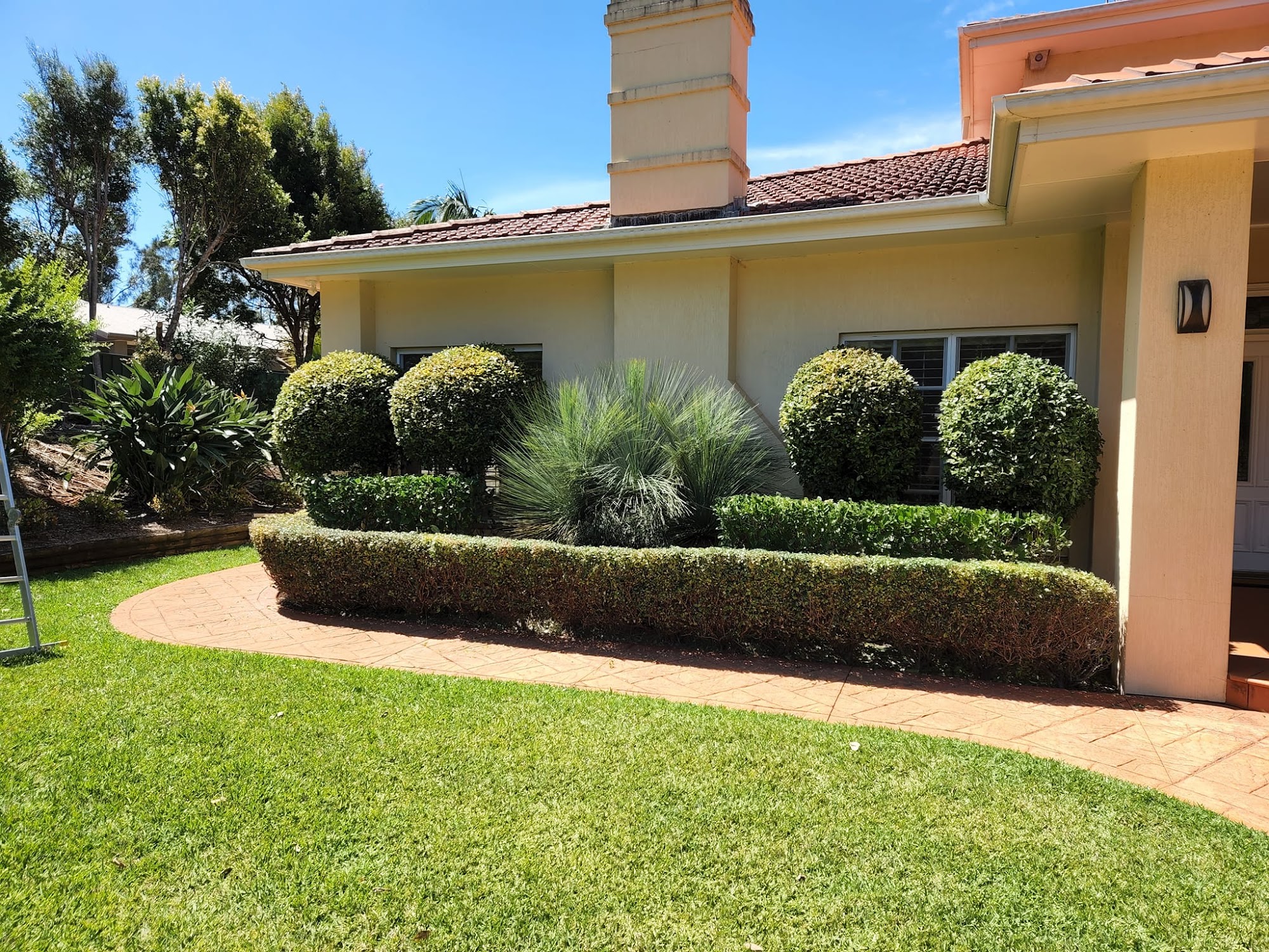 Front yard transformation